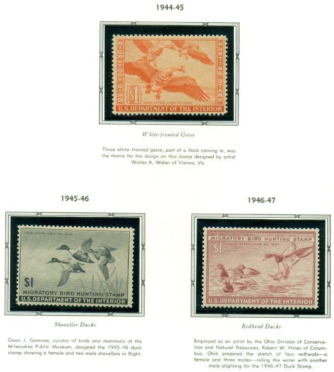 US DUCK STAMP COLLECTION - #RW1-73, Complete to 2006, NH in album Scott $5,779