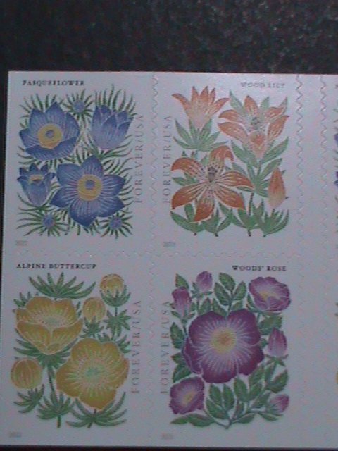 ​UNITED STATES-2022 MOUNTAIN FLOWERS-FIRST CLASS FOREVER MNH BOOKLET-20 STAMPS