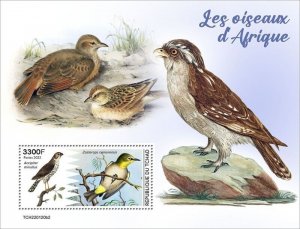 Chad - 2022 Birds of Africa, Sparrowhawk - Stamp Souvenir Sheet - TCH220120b2