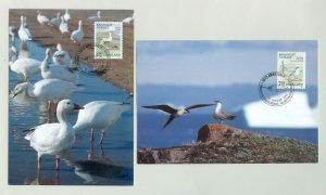 Greenland. 2 FD. 1990  Maximumcard. Birds IV. Scott # 179+187.