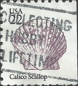 # 2120 USED CALICO SCALLOP