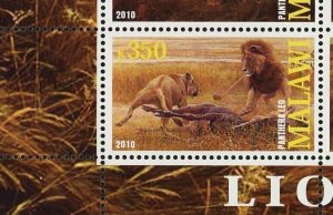 Malawi Lion Panthera Leo Wild Animal Fauna Souvenir Sheet of 4 Stamps Mint NH