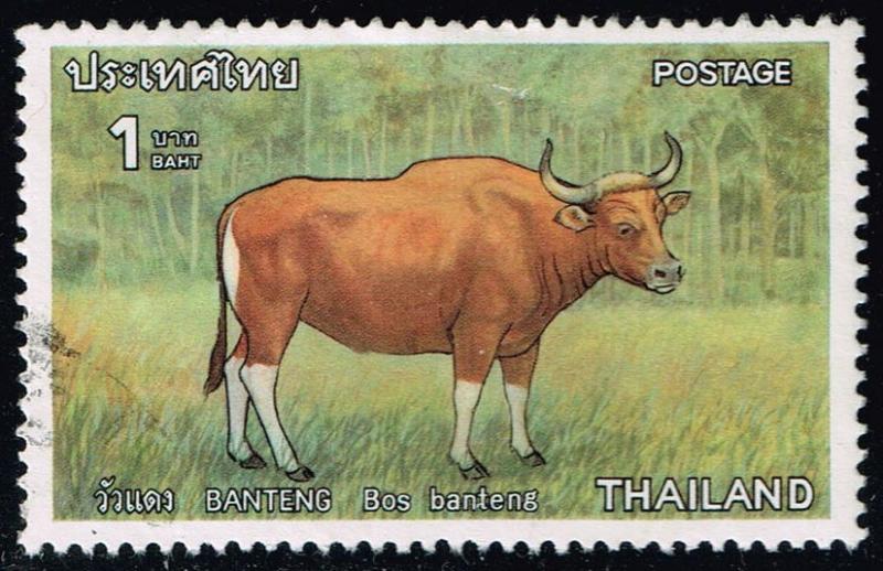 Thailand #806 Banteng; Used