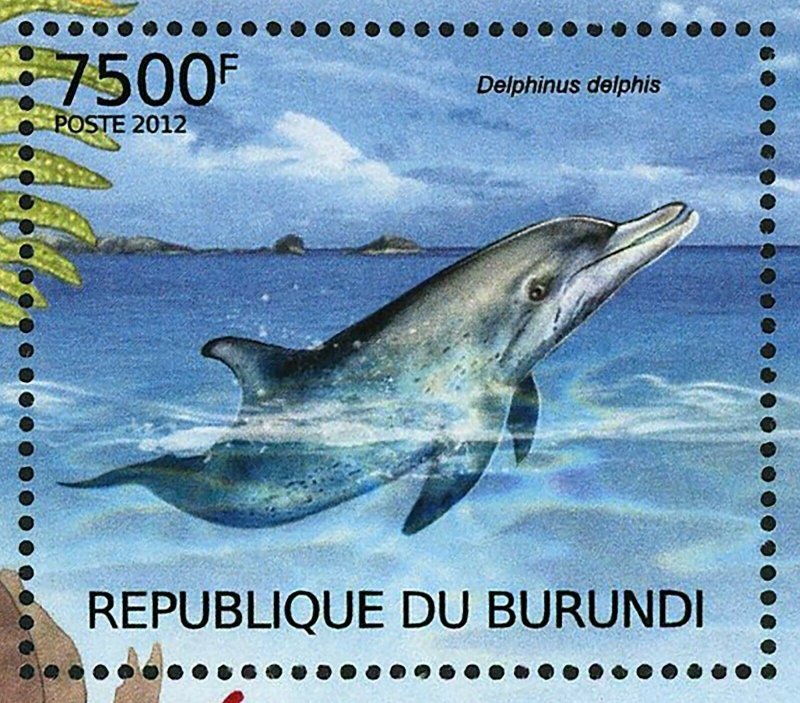 Dolphins Stamp Delphinus Delphis Stenella Frontalis Tursiops Truncatus S/S MNH