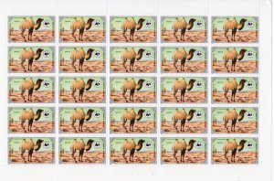 Mongolia 1985 Sc#1443/1446 WWF Camelus  Bactrianus Full Sheetlet (25) UNFOLDED