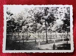 WW2 WWII German Military war fallen soldiers cemetary KIA graves Photo