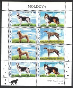 Moldova Dogs 4v Sheetlet 2006 MNH SG#557-560
