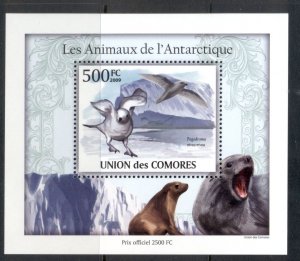 Comoro Is 2010 Animals of the Antarctic, Bird, Seal Deluxe MS MUH