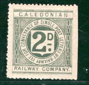 GB Scotland CALEDONIAN RAILWAY KEVII Letter Stamp 2d Mint S2WHITE34