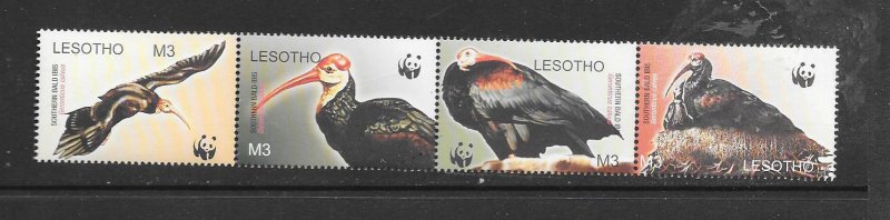 BIRDS - LESOTHO #1336 (FORMAT 3) WWF MNH