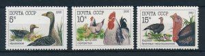 [17556] Russia 1990 �Birds vogels oiseaux �uccelli  MNH