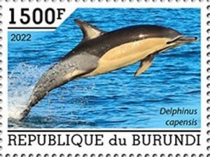 Burundi - 2022 Long-beaked Common Dolphin - Stamp - BUR2201068a