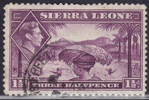 Sierra Leone 175A USED 1941 Rice Harvesting