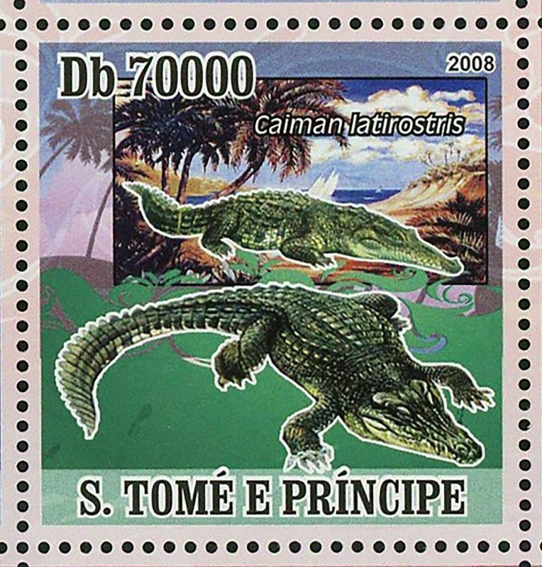 Crocodiles Stamp Caiman Crocodilus Crocodylus Acutus S/S MNH #3355-3358 