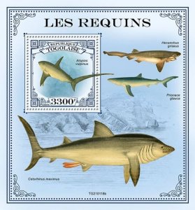 Togo - 2021 Common Thresher Sharks - Stamp Souvenir Sheet - TG210118b