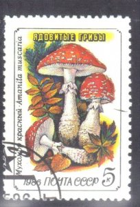 RUSSIA SCOTT # 5455 CTO 5k 1986  MUSHROONS