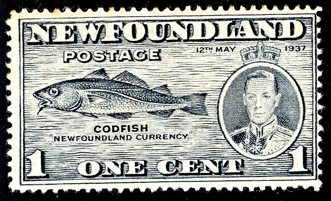 Newfoundland, Scott #233, Unused, No Gum