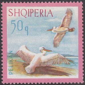 Albania #1015 Pelicans USED