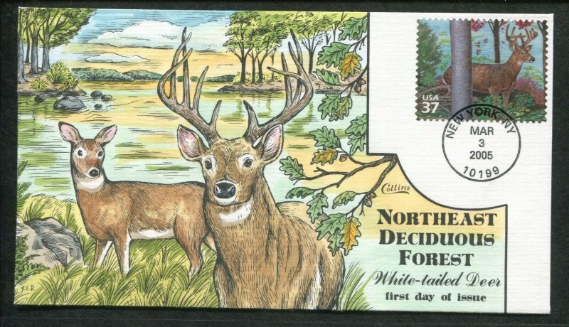 2005 New York Northeast Deciduous Forest White-Tailed Dear Collins FDC