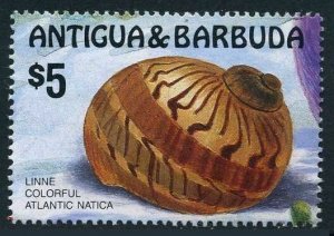 Antigua 947 a stamp,MNH.Michel 957. Shell Atlantic natica,1986.