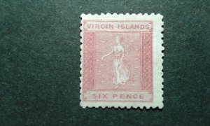 Virgin Islands #2b mint hinged white paper e207 10508