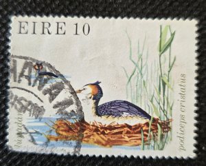 IRELAND, 1979,  Ducks of Ireland, #450, used, SCV$0.65