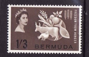 Bermuda-Sc#192- id9-unused NH set-QEII-Omnibus-Freedom From Hunger-1963-