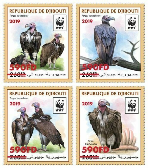 Z08 DJB190519a2 DJIBOUTI 2019 WWF Vulture MNH ** Postfrisch