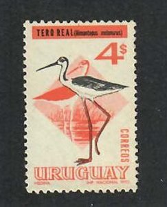 Uruguay; Scott 754A; 1970;  Used; Birds