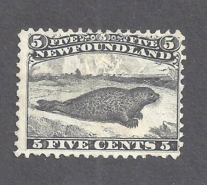 CANADA NEWFOUNDLAND #26ii MINT MAJOR RE-ENTRY 5c BLACK HARP SEAL BS25498