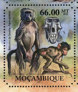 Primates Stamp Otolemur Crassicaudatus Papio Cynocephalus S/S MNH #5036-5041