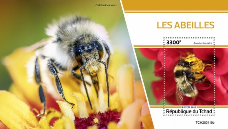 CHAD - 2020 - Bees - Perf Souv Sheet - MNH