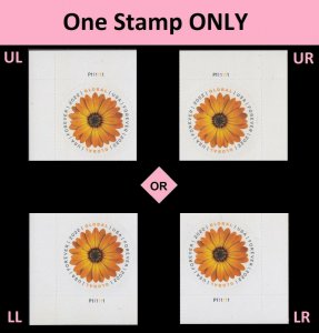 US 5680 African Daisy global F plate single MNH 2022