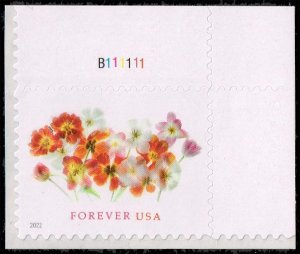 US #5681 Tulips P# Single; MNH