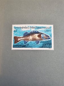 Stamps FSAT Scott #323 nh