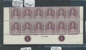 SARAWAK (P1401B) BROOKE 3C SG38  DOUBLE CONTROL BL OF 12    MNH