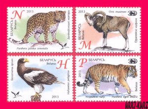 BELARUS 2013 Nature Fauna ZOO Animals Bird Tiger Eagle Leopard Mouflon 4v MNH