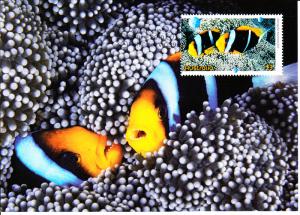 Australia 2010 Maxicard Scott #3277 $3 Orange anemonefish