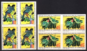 Cameroun 1972 Sc# 554/555 BIRDS TOURACO & LOVEBIRDS Block of 4 IMPERFORATED MNH