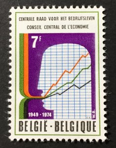 Belgium 1974 #881, MNH, CV $.55