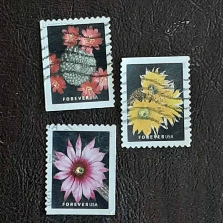 US Scott # 5351- 5353; Three used forever (55c) Cactus Flowers,  VF/XF; off p
