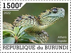 BURUNDI - 2022 - Snake - Perf Single Stamp - Mint Never Hinged