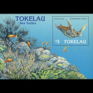 TOKELAU 1996 - Scott# 221 S/S Sea Turtles NH