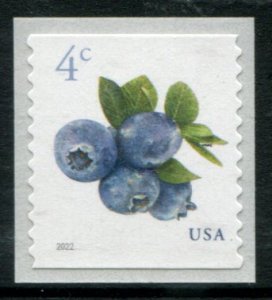 5653 US 4c Blueberries coil,  MNH sgl