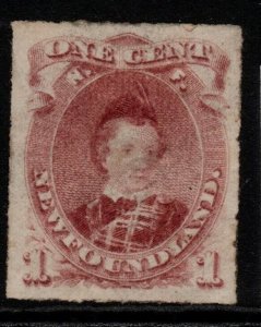 NEWFOUNDLAND SG40 1876 1c LAKE-PURPLE TYPE II MTD MINT