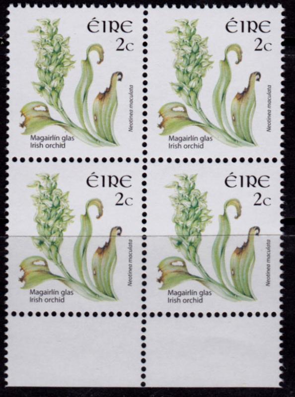 Ireland 1607 Block of 4 MNH - Wildflower Definitive