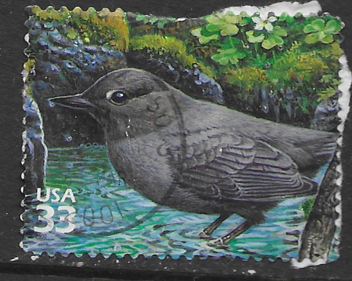 US #3348 used. Pacific Coast Rain Forest. Bird