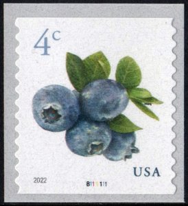 SC#5653 4¢ Blueberries Coil Plate Single (2022) SA