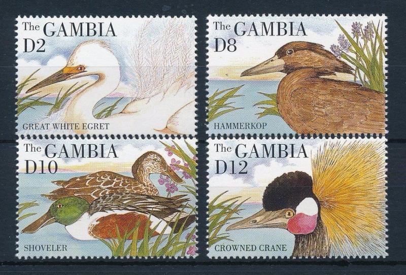 [31836] Gambia 1995 Birds Vögel Oiseaux Ucelli   MNH