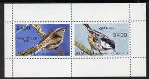 ABKHAZIA - 1995 - Birds, Tit - Perf 2v Sheet - M. N.H - Private Issue
